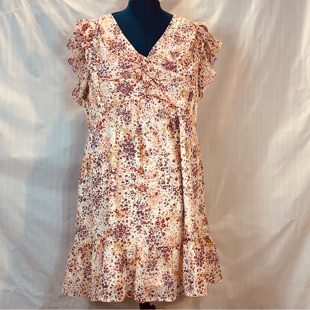 Hailey & Co Dress Purple & Red Floral Chiffon Flutter Cap Sleeves V Neck EUC 3X👍